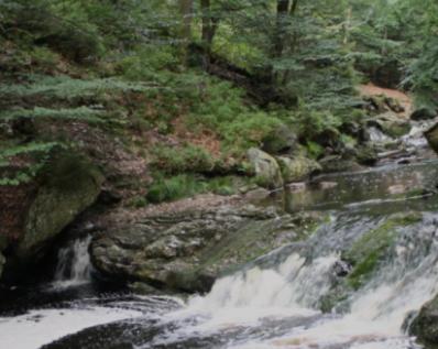 Gite Ardennes Au Coin Du Feu Jacuzzi Sauna Et Nature Жале Екстериор снимка